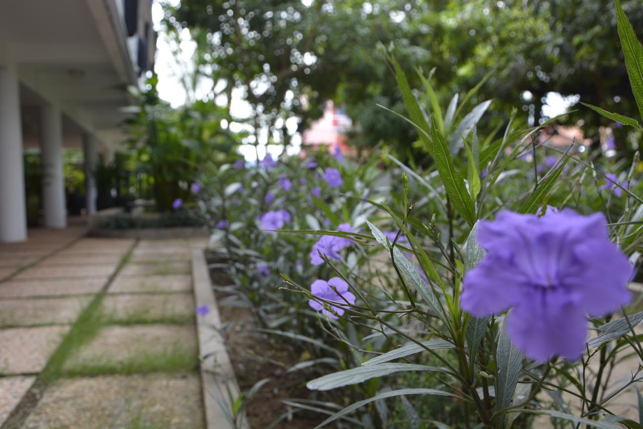 Bamboo Garden Boutique Otel Siem Reap Dış mekan fotoğraf